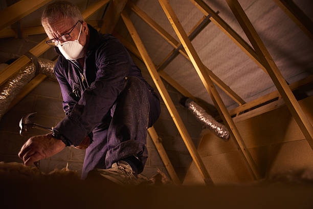 Best Insulation for New Construction  in Ogden, UT